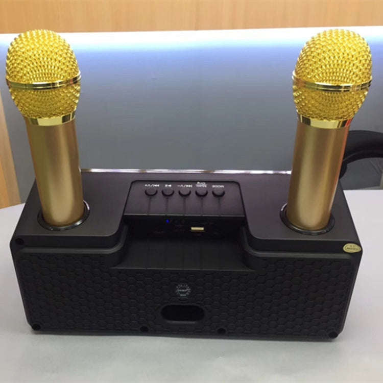 SDRD SD-301 2 in 1 Family KTV Portable Wireless Live Dual Microphone + Bluetooth Speaker(Black)