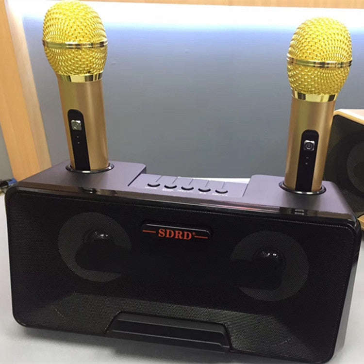 SDRD SD-301 2 in 1 Family KTV Portable Wireless Live Dual Microphone + Bluetooth Speaker(Black)