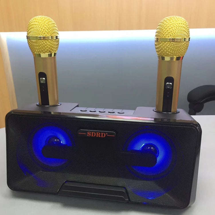 SDRD SD-301 2 in 1 Family KTV Portable Wireless Live Dual Microphone + Bluetooth Speaker(Black)