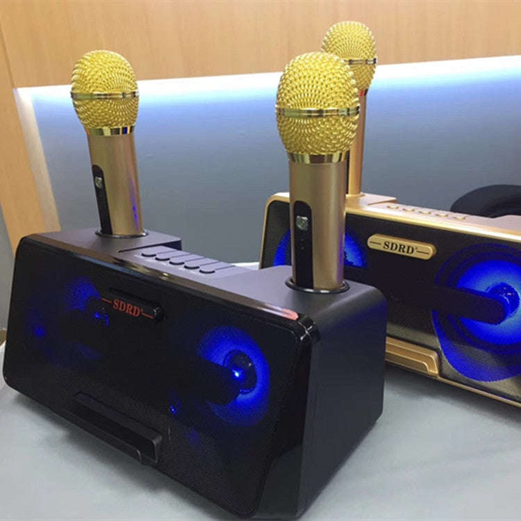 SDRD SD-301 2 in 1 Family KTV Portable Wireless Live Dual Microphone + Bluetooth Speaker(Black)