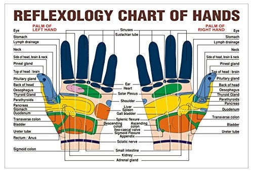 20 PCS Finger Massage Ring Body Massager Relax Hand Massage