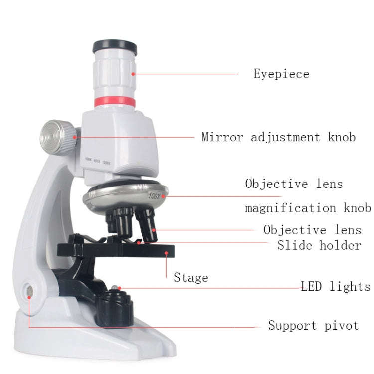 Early Education Biological Science 1200X Microscope Science And Education Toy Set For Children L