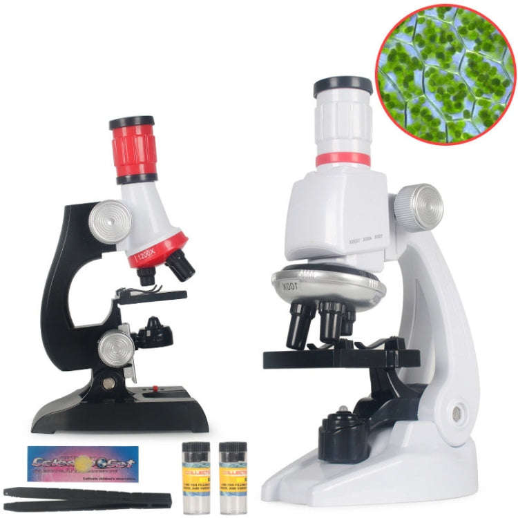 Early Education Biological Science 1200X Microscope Science And Education Toy Set For Children L