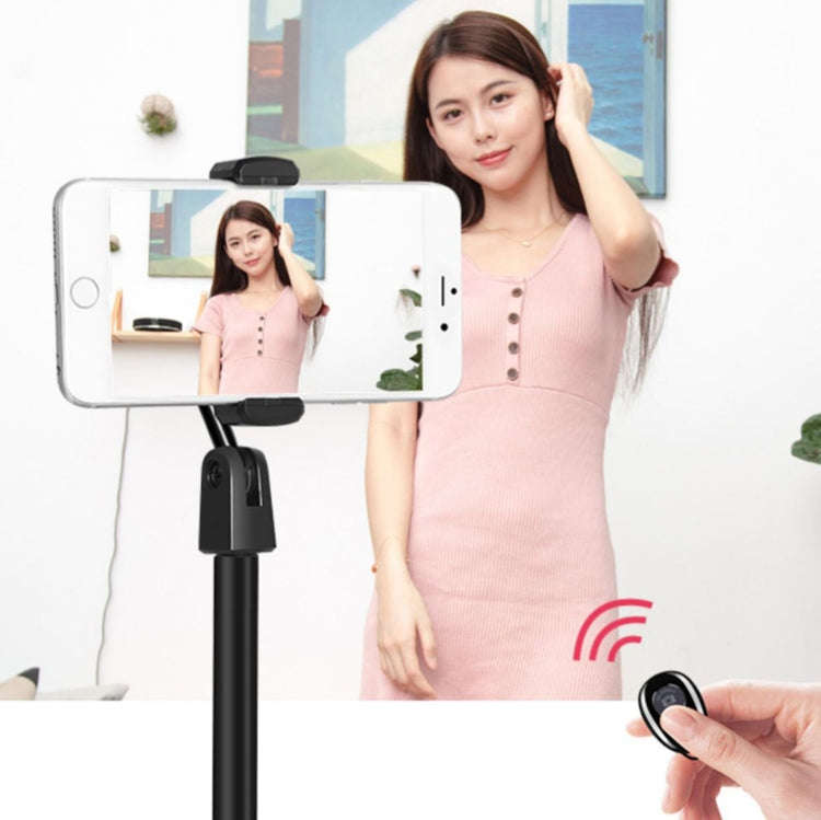 4 PCS Desktop Stand Mobile Phone Tablet Live Broadcast Stand Telescopic Disc Stand, Colour: Green