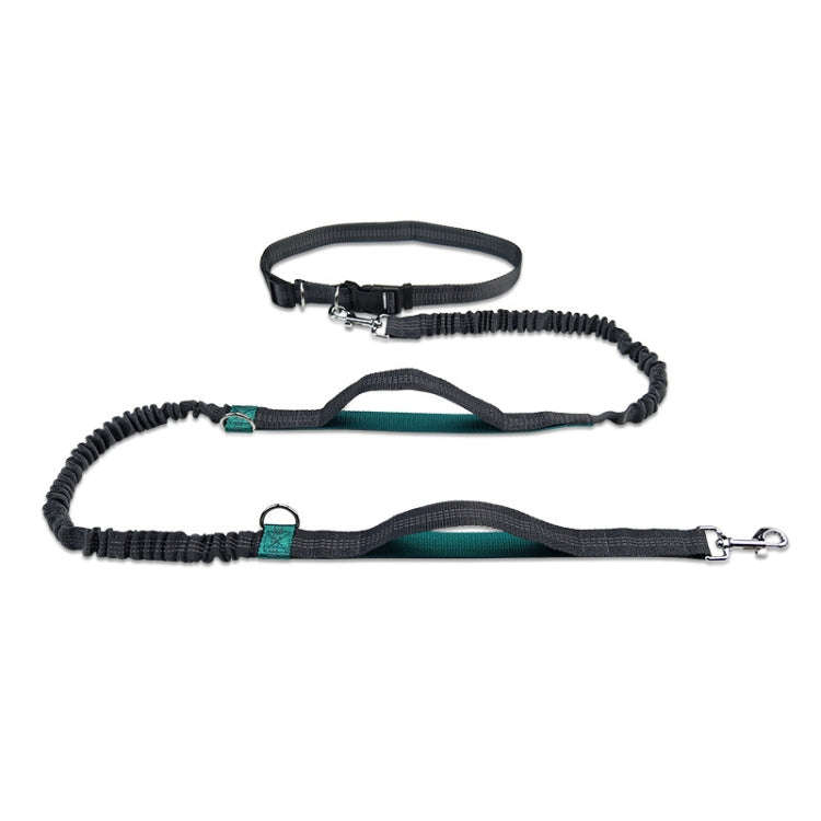 Running Reflective Double Telescopic Dog Rope Dog Chain Traction(Water Green)