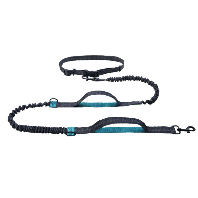 Running Reflective Double Telescopic Dog Rope Dog Chain Traction(Black D Ring Water Green)