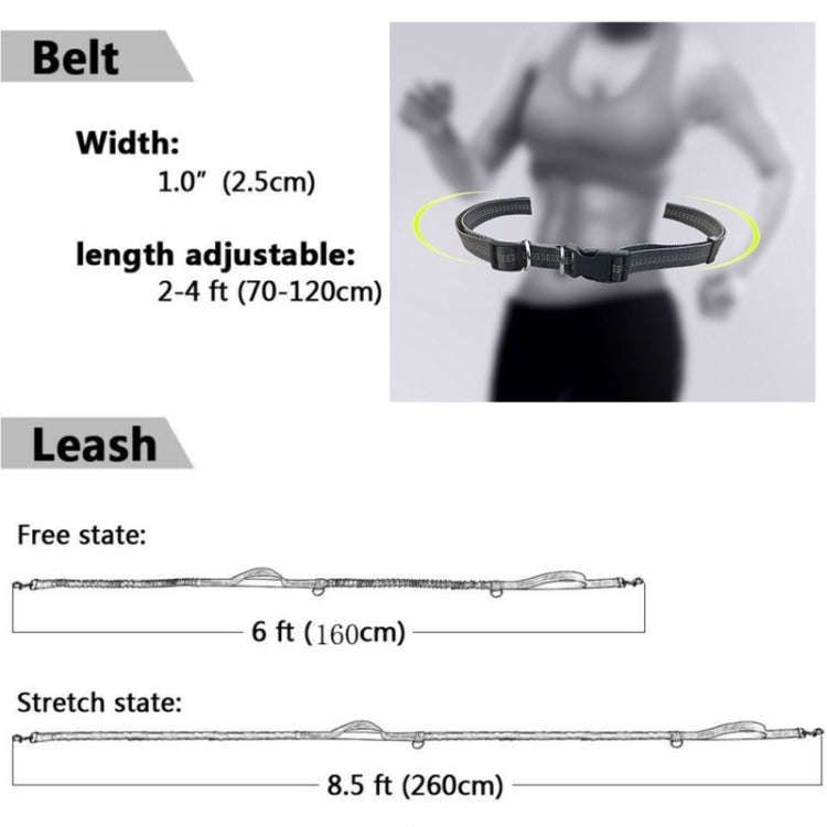 Running Reflective Double Telescopic Dog Rope Dog Chain Traction(Black D Ring Fluorescent Green)