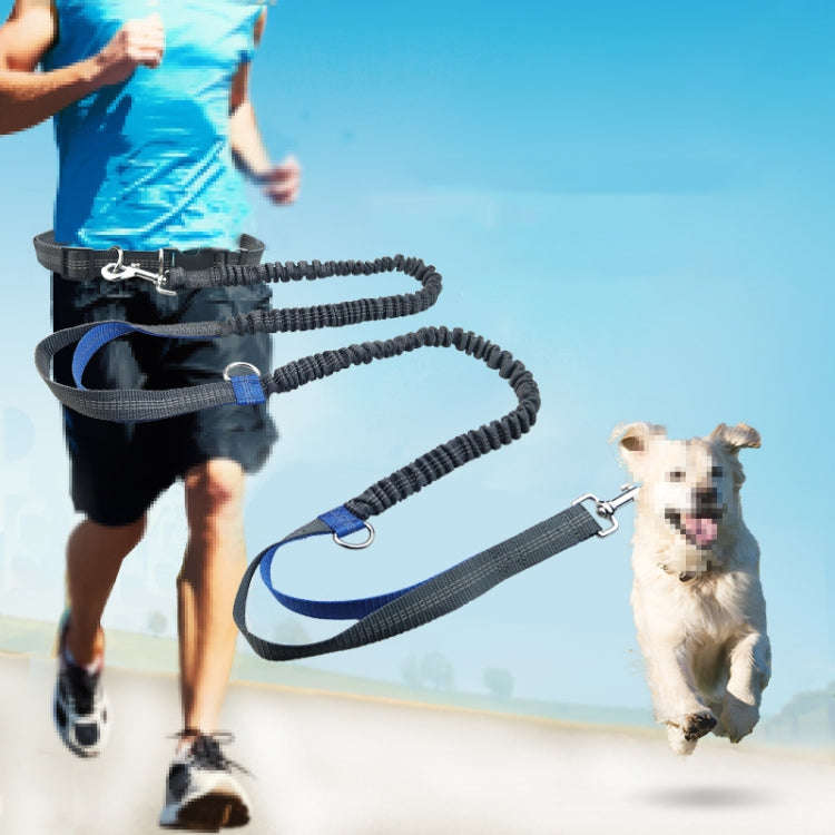Running Reflective Double Telescopic Dog Rope Dog Chain Traction(Fluorescent Green)