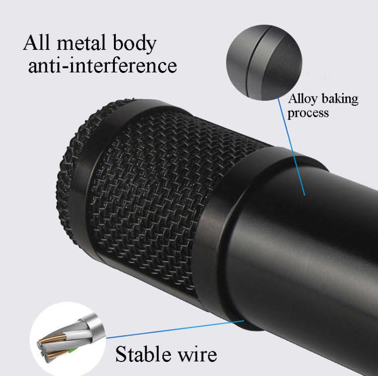 BM800 Condenser Microphone Set With USB Adapter(Black And Black Net)