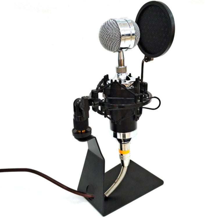 TEYUN L-Shaped Iron Triangle Metal Microphone Stand(Black)