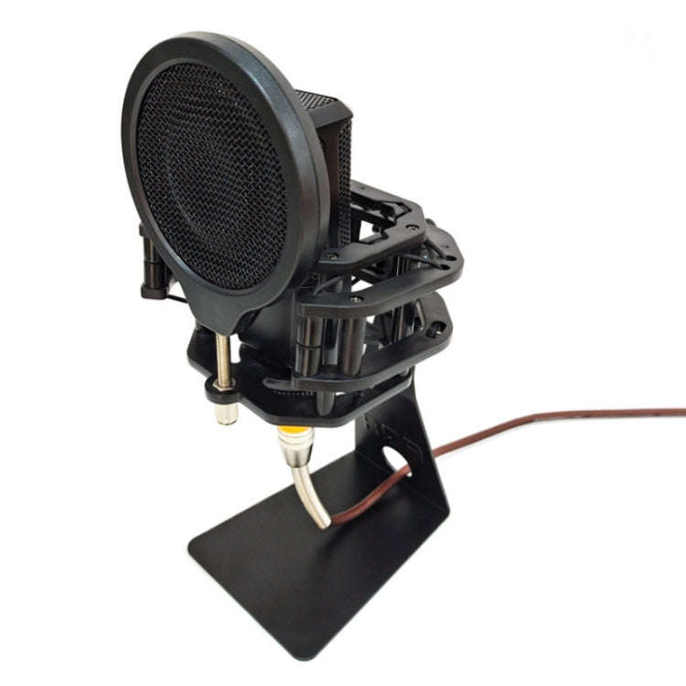 TEYUN L-Shaped Iron Triangle Metal Microphone Stand(Black)
