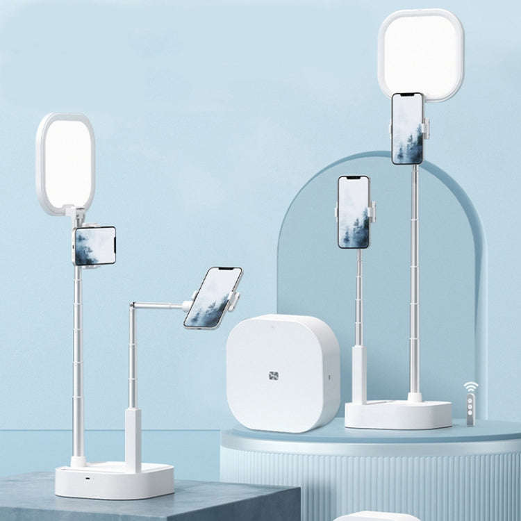 V8 Dual-Camera 360-Degree Rotating Light-Filling Live Stand, Spec: Holder + Remote + Storage Bag