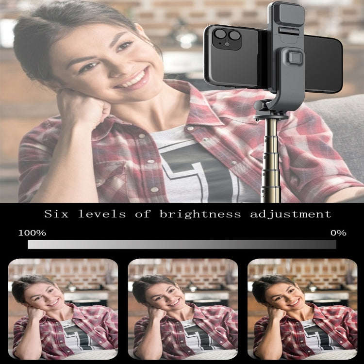 L03S Bluetooth Fill Light Tripod Integrated Selfie Stick(Black)