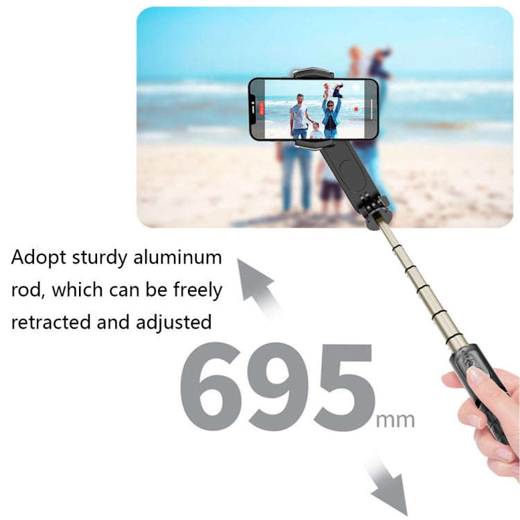 Removable Fill Light Phone Handheld Stabilizer with APP(Q09 Black)