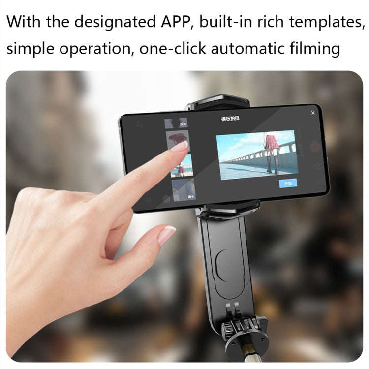 Removable Fill Light Phone Handheld Stabilizer with APP(Q09 Black)