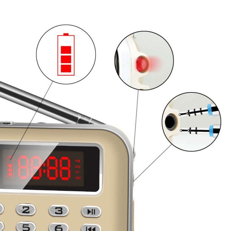 Y-619  FM/AM Mini Radio MP3 Rechargeable Music Player Support TF/SD Card with LED Display(Gold)