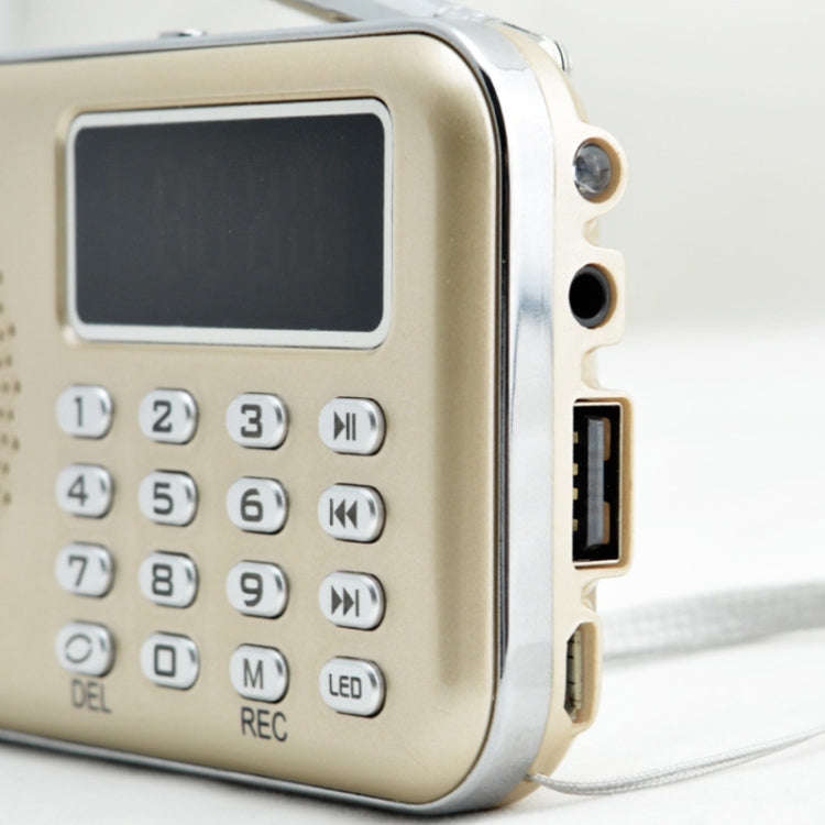 Y-619  FM/AM Mini Radio MP3 Rechargeable Music Player Support TF/SD Card with LED Display(Gold)
