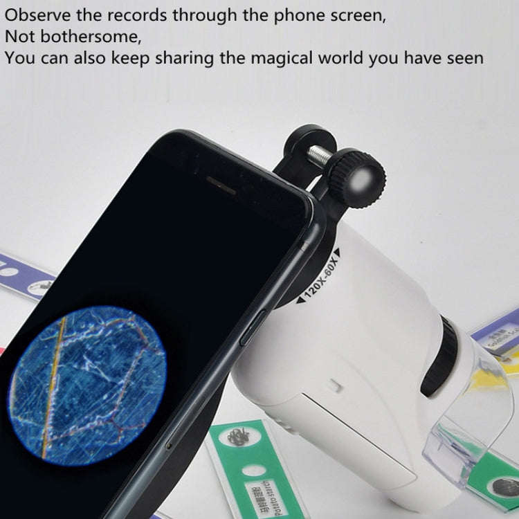 Children Handheld Portable Laboratory Equipment Microscope Toys, Colour: Lite Standard (White)