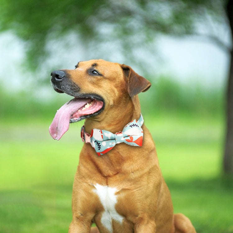 Rose Gold Buckle Pet Detachable Bow Collar, Size: M 2.0x33-50cm(Fantasy Gradient)
