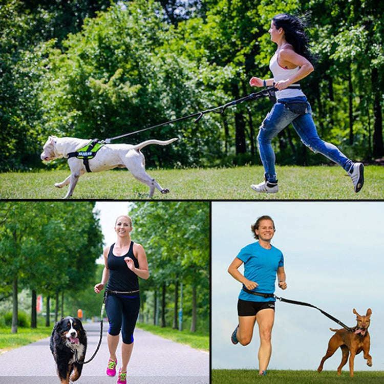 Pet Run Traction Rope Portable Waist Bag(Orange)