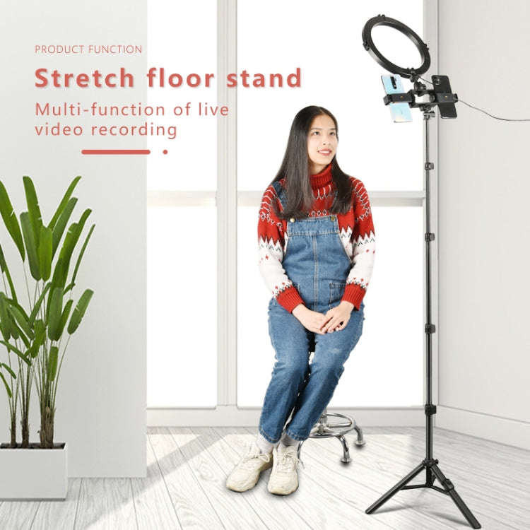 QingZhuangShiDai ZP100B Aluminum Alloy Floor Phone Stand Live Bluetooth Phone Selfie Stick