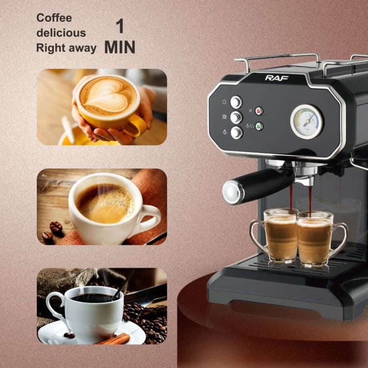 RAF R.104 Home Small Semi Automatic High Pressure Steam Milk Foaming Coffee Machine, EU Plug(Black)