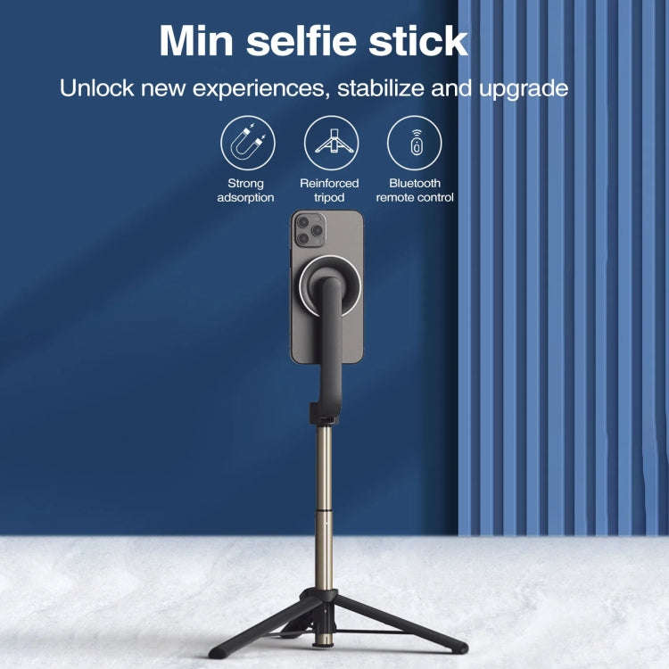 Magnetic Selfie Stick Tripod Handheld Stabilizer Rod With Remote Controller(Black)