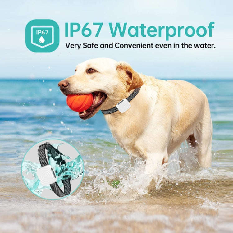 Pet Training Smart Bark Stopper Waterproof Vibration Collar(Black)