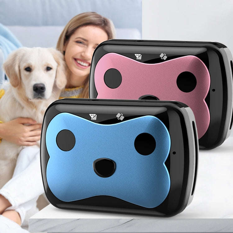 GPS Wireless Wifi Pet Location Chasing Cat Dog Collar Anti-loss Locator(Sky Blue)