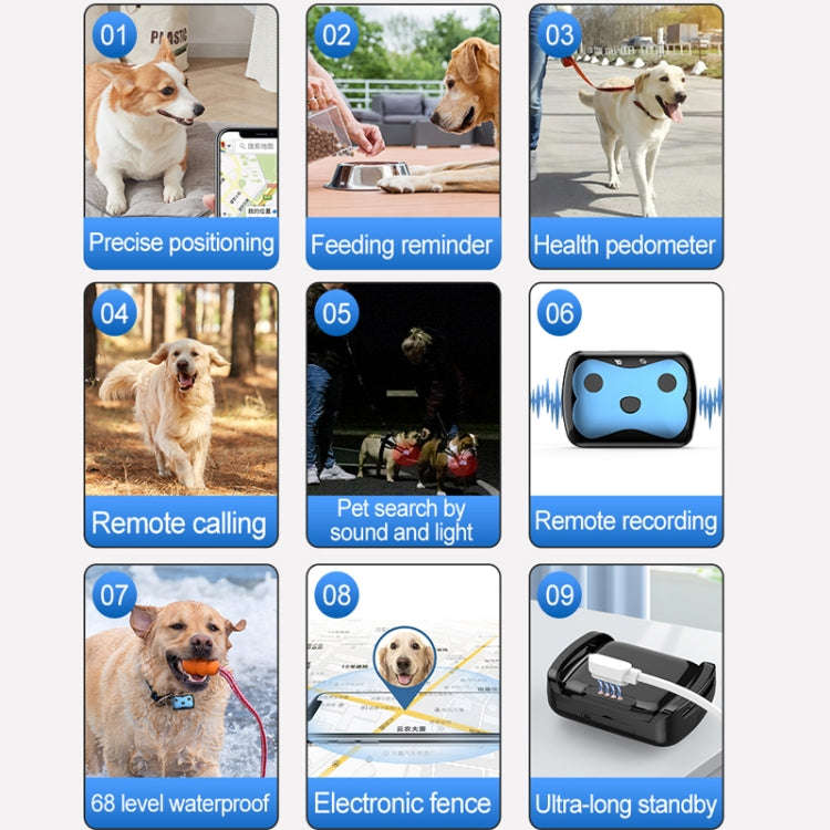 GPS Wireless Wifi Pet Location Chasing Cat Dog Collar Anti-loss Locator(Sky Blue)
