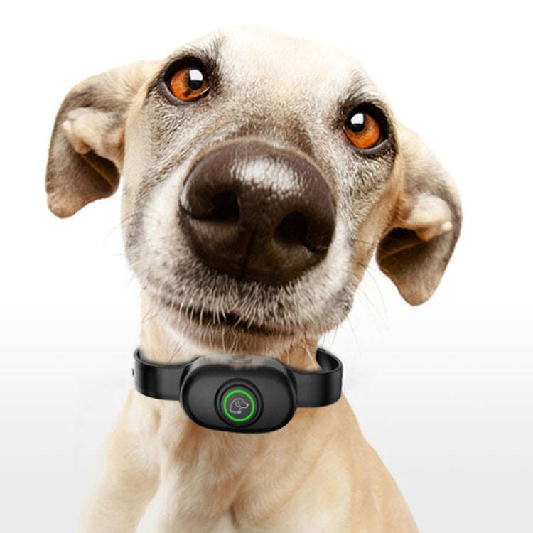 Auto Stop Barker Pet Collar Dog Trainer(Black)