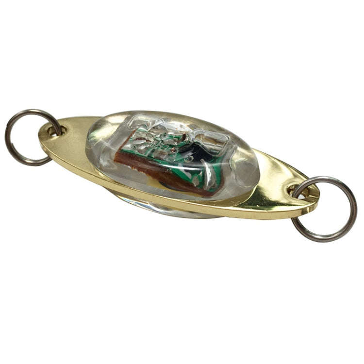 10G LED Underwater Lure Fish Tool Glowing Metal Fish Bait(Blue)