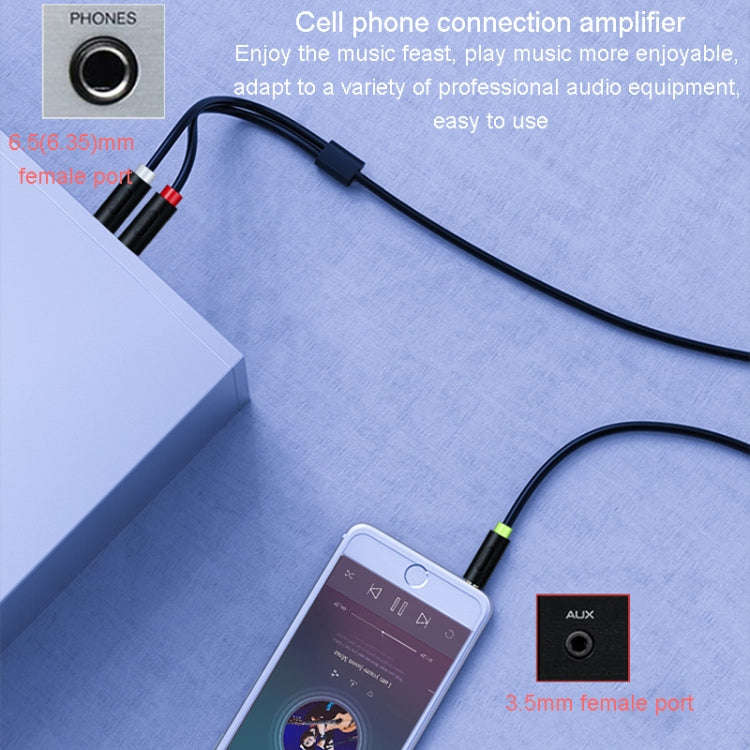 JINGHUA 3.5mm To Dual 6.5mm Audio Cable 1 In 2 Dual Channel Mixer Amplifier Audio Cable, Length: 5m