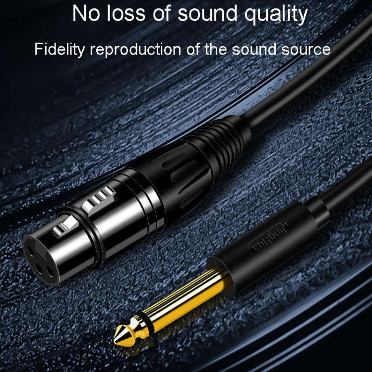 JINGHUA 6.5 Male To Female XLR Audio Cable 6.35 Three Core Balanced Microphone Mixer, Size: 10m(B...