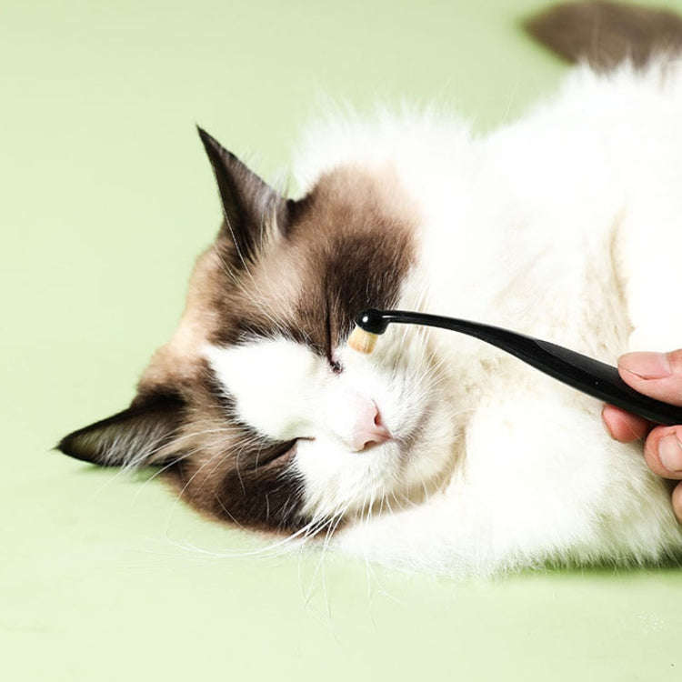 Pet Eye Cleaning Tear Stain Brush Eye Makeup Brush For Dogs And Cats(Black)