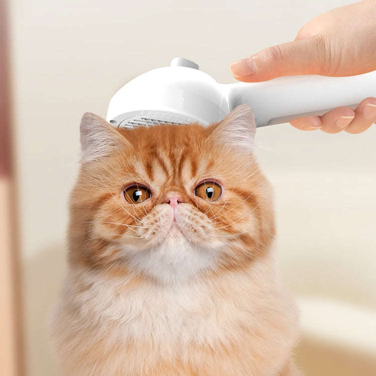 RK56 USB Charging Spray Pet Grooming Comb Cat and Dog Hair Removal Tool Pet Products(White)