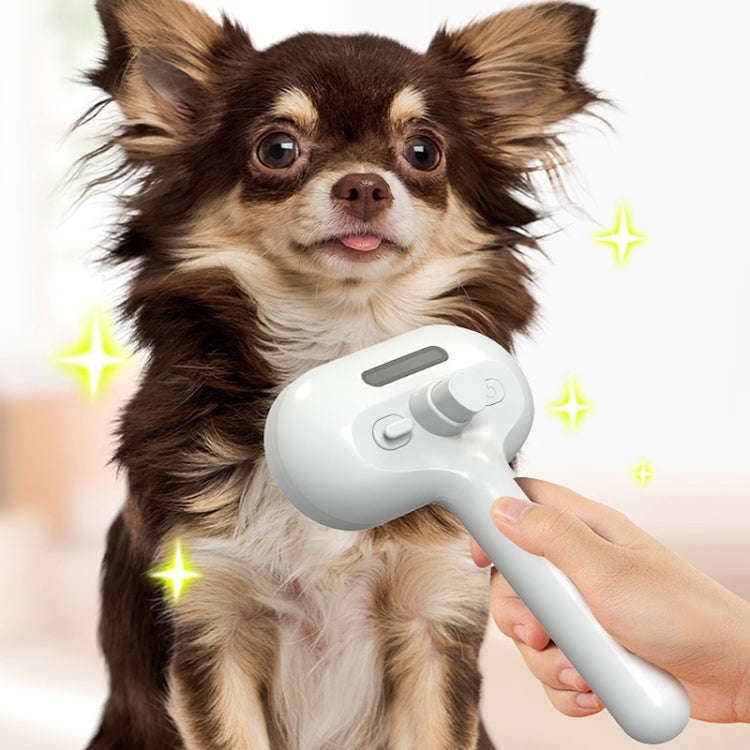 RK56 USB Charging Spray Pet Grooming Comb Cat and Dog Hair Removal Tool Pet Products(White)