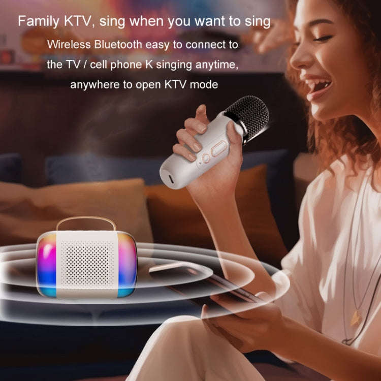 Y5 2 Microphone Portable Bluetooth Speaker Home And Outdoor Wireless Karaoke Audio(Black)