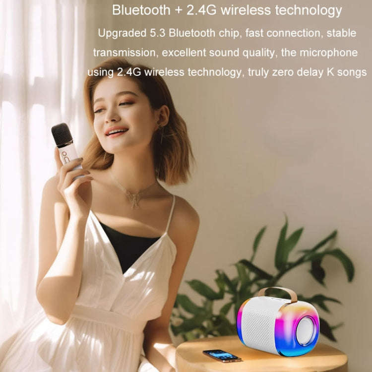 Y5 1 Microphone Portable Bluetooth Speaker Home And Outdoor Wireless Karaoke Audio(Black)