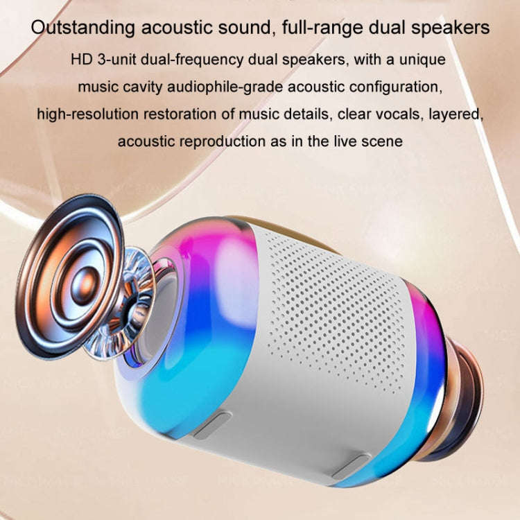 Y5 2 Microphone Portable Bluetooth Speaker Home And Outdoor Wireless Karaoke Audio(Black)