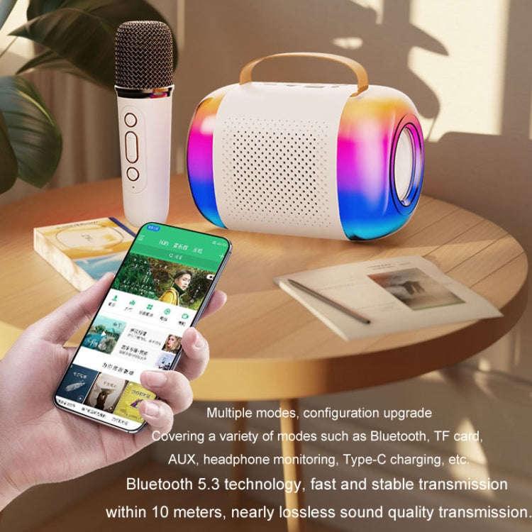 Y5 2 Microphone Portable Bluetooth Speaker Home And Outdoor Wireless Karaoke Audio(Black)