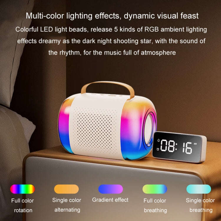 Y5 1 Microphone Portable Bluetooth Speaker Home And Outdoor Wireless Karaoke Audio(White)