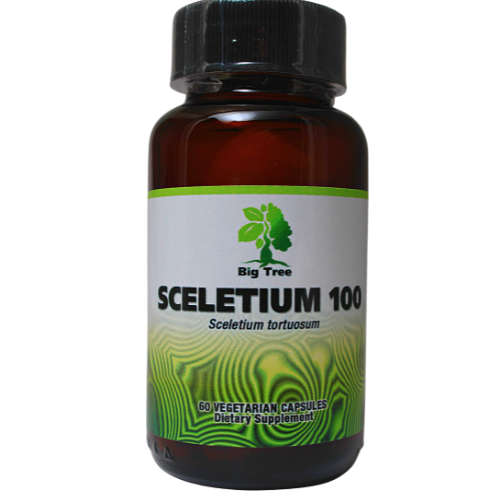 Big Tree Sceletium Capsules:  Traditional Natural Mood Tonic