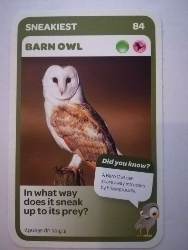 Pick n Pay South African Super Animals (Blue) - Card 84 - Barn Owl
