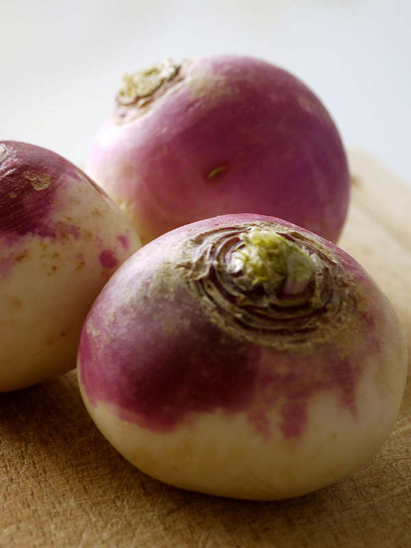 Turnip Purple Top White Globe Seeds