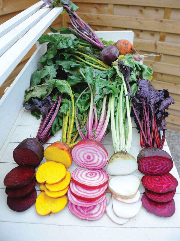 Beetroot Rainbow Mix Seeds