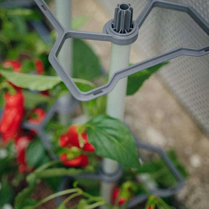 CHARLY CHILI (Self Watering Pot) + Cayenne Pepper Seed Pack
