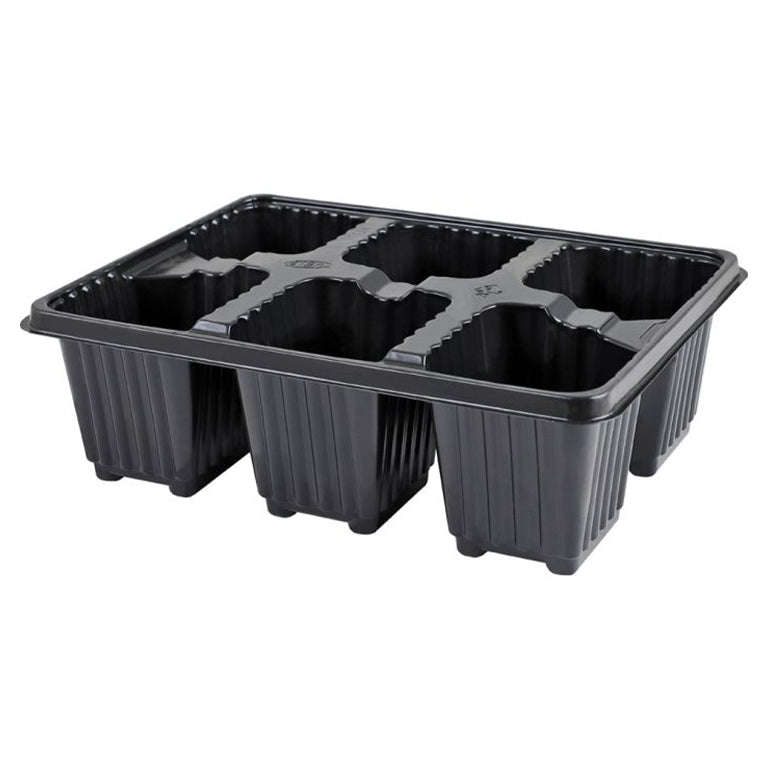 6 Cell Seedling Tray