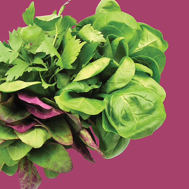 Lettuce Spicy Salad Mesclun Seeds