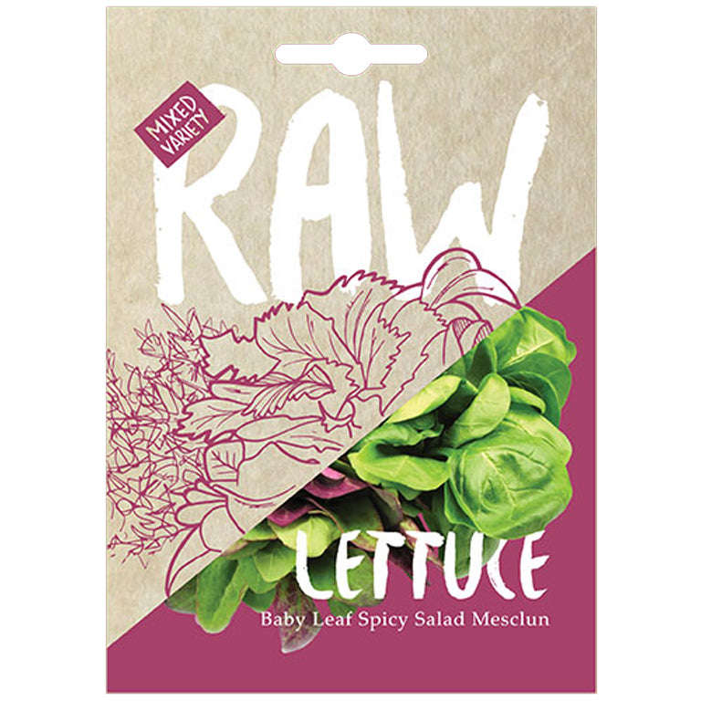 Lettuce Spicy Salad Mesclun Seeds